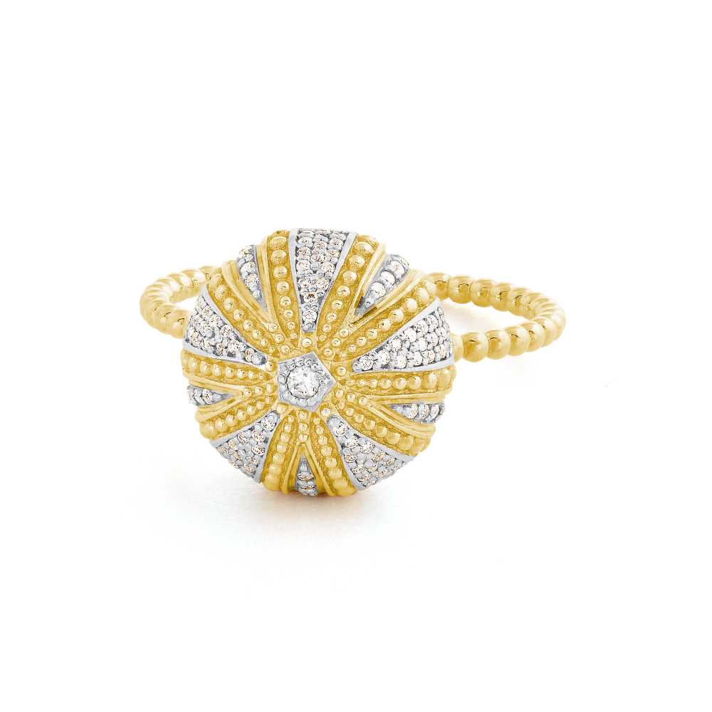 Sea urchin ring MM