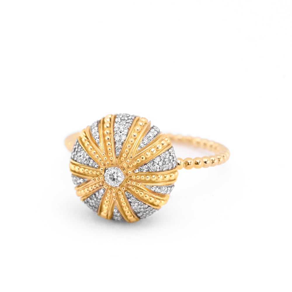 Sea urchin ring MM